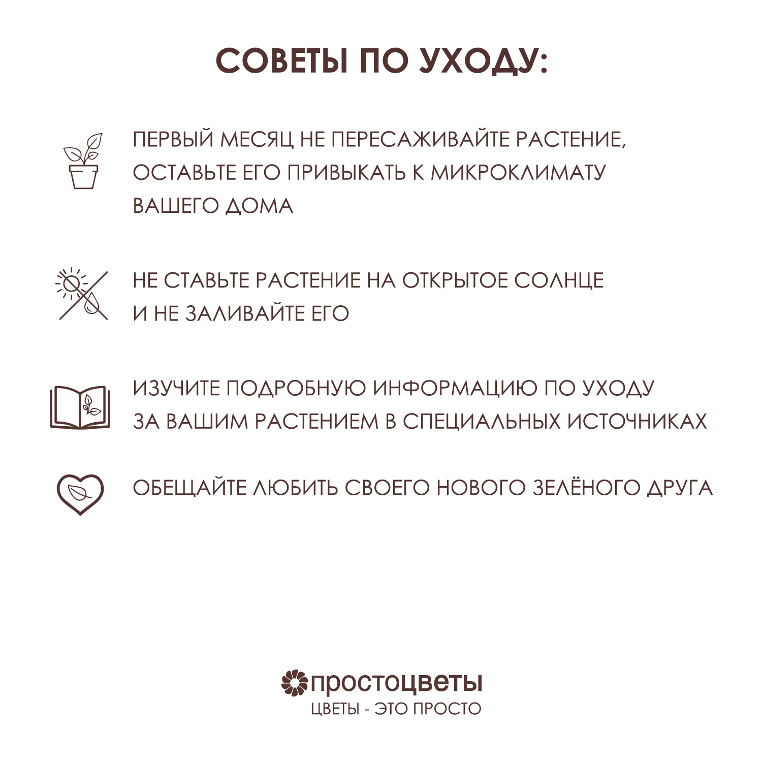 Каланхое Красное диаметром 10 см и высотой 20 см - цена, купить комнатные  растения с доставкой в Москве - магазин ПРОСТОЦВЕТЫ