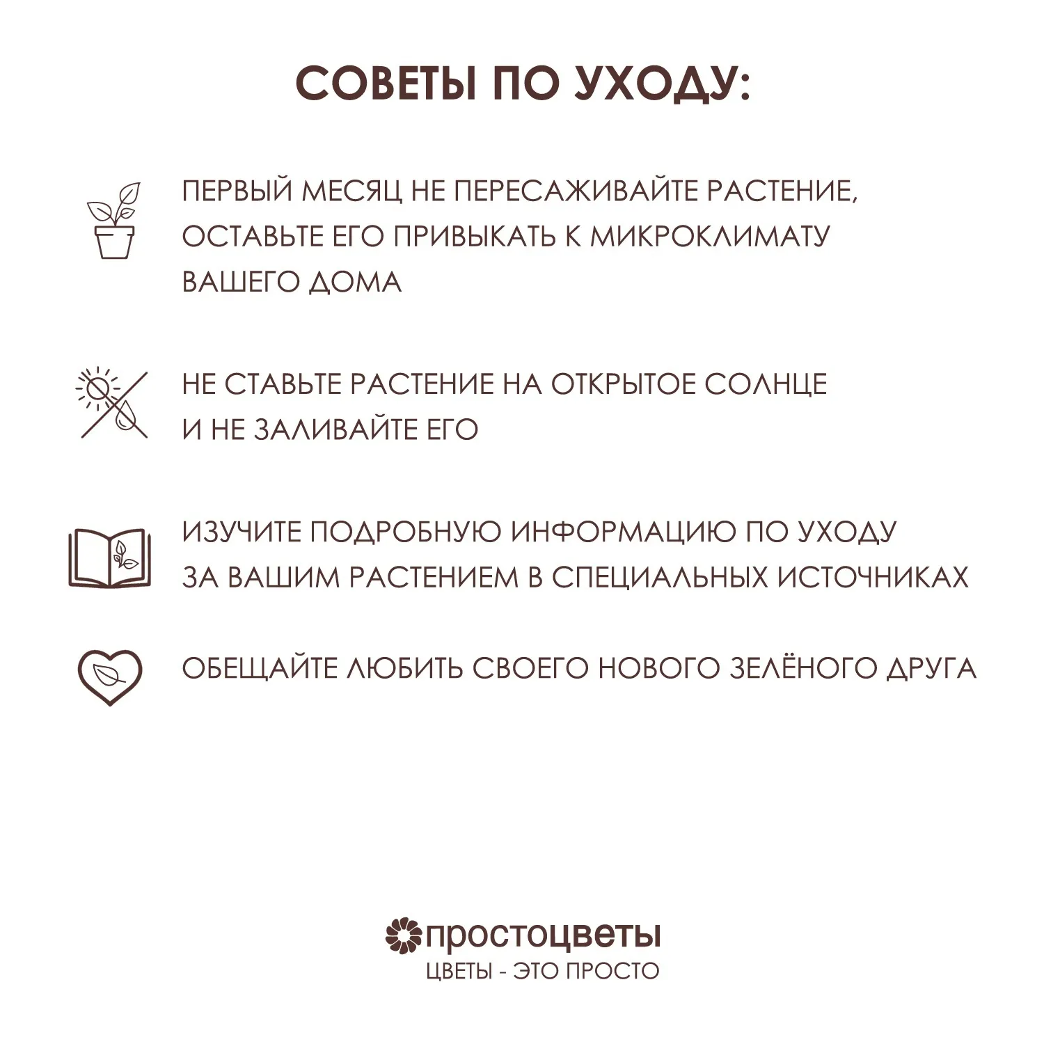 Шеффлера Герда - цена, купить комнатные растения с доставкой в Москве -  магазин ПРОСТОЦВЕТЫ