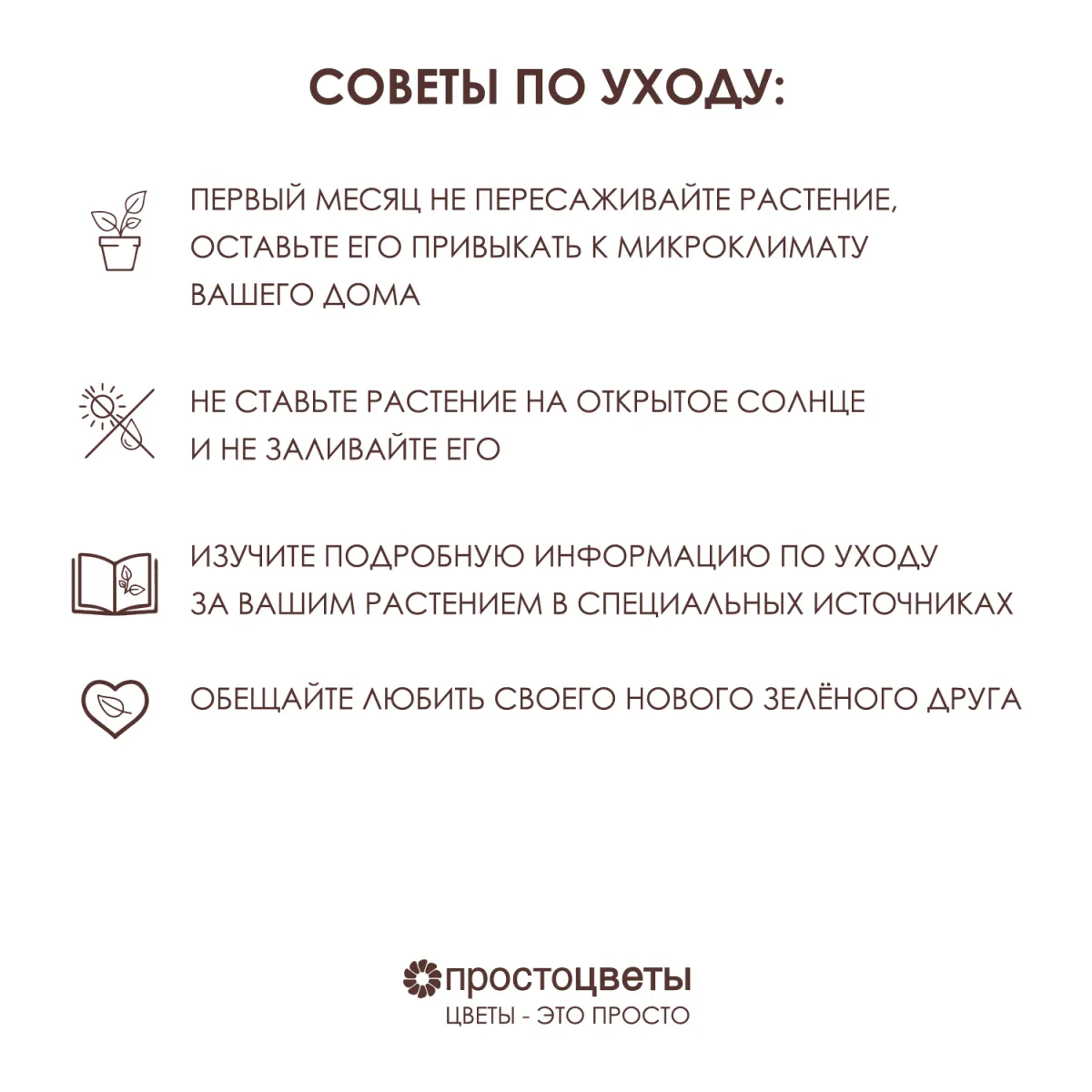 Каланхое Желтое - цена, купить комнатные растения с доставкой в Москве -  магазин ПРОСТОЦВЕТЫ